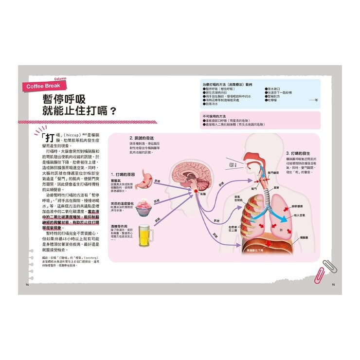 手機腦與運動腦 + 人體 (2冊)