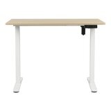 Backbone Dyback Lite 電動升降桌 100公分 X 60公分 木紋