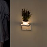 IRIS OHYAMA LED 造型感應燈兩入組 面板壁掛型 #BSL-BMSP