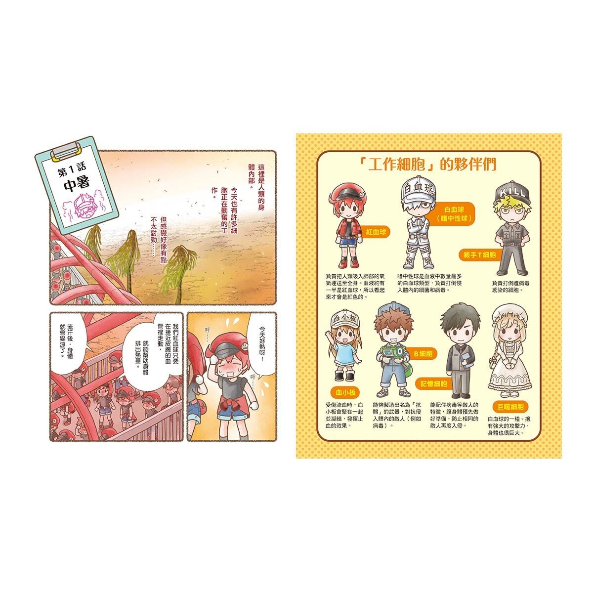繪本工作細胞集合嘍！1 + 2 套書