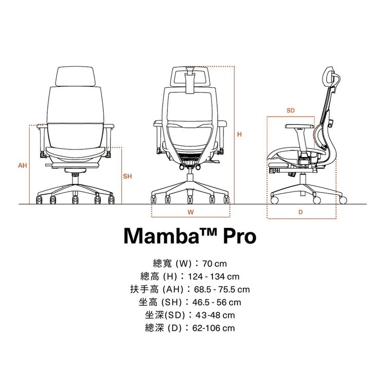 Backbone Mamba Pro 全功能網座人體工學椅附腳踏