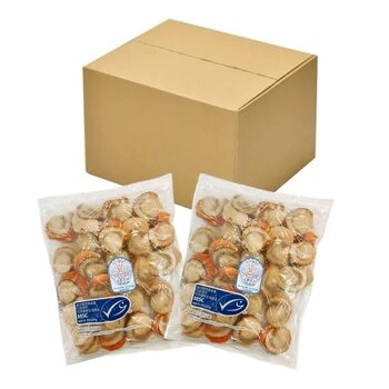 北海道熟凍帶卵帆立貝 800公克 北海道熟凍帶卵帆立貝 800公克