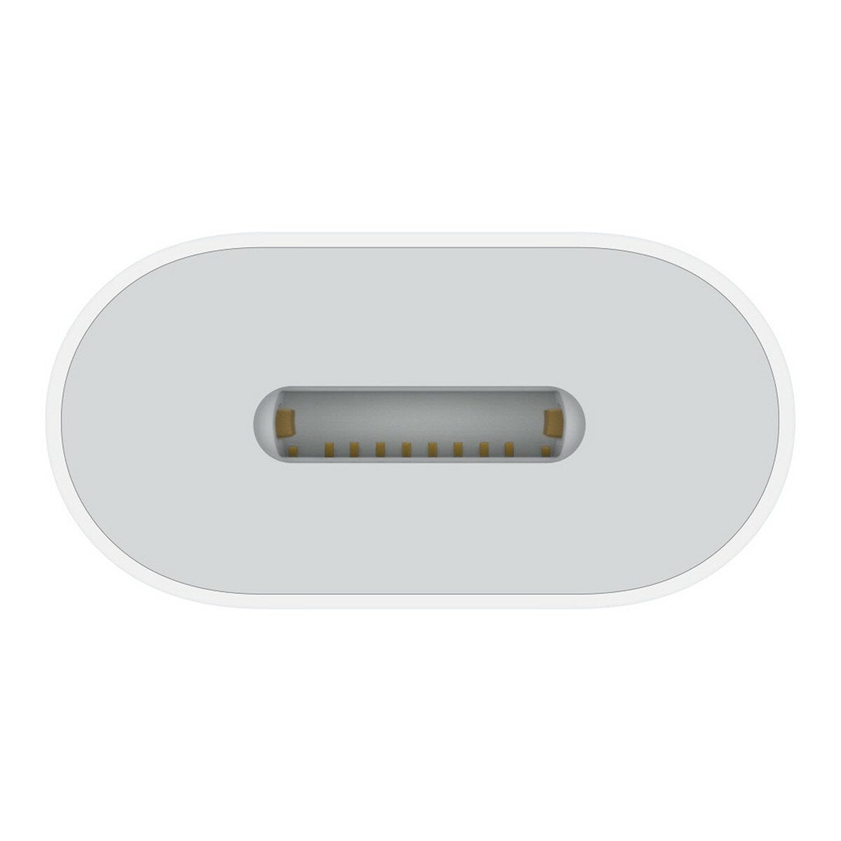 Apple USB-C 對 Lightning 轉接器