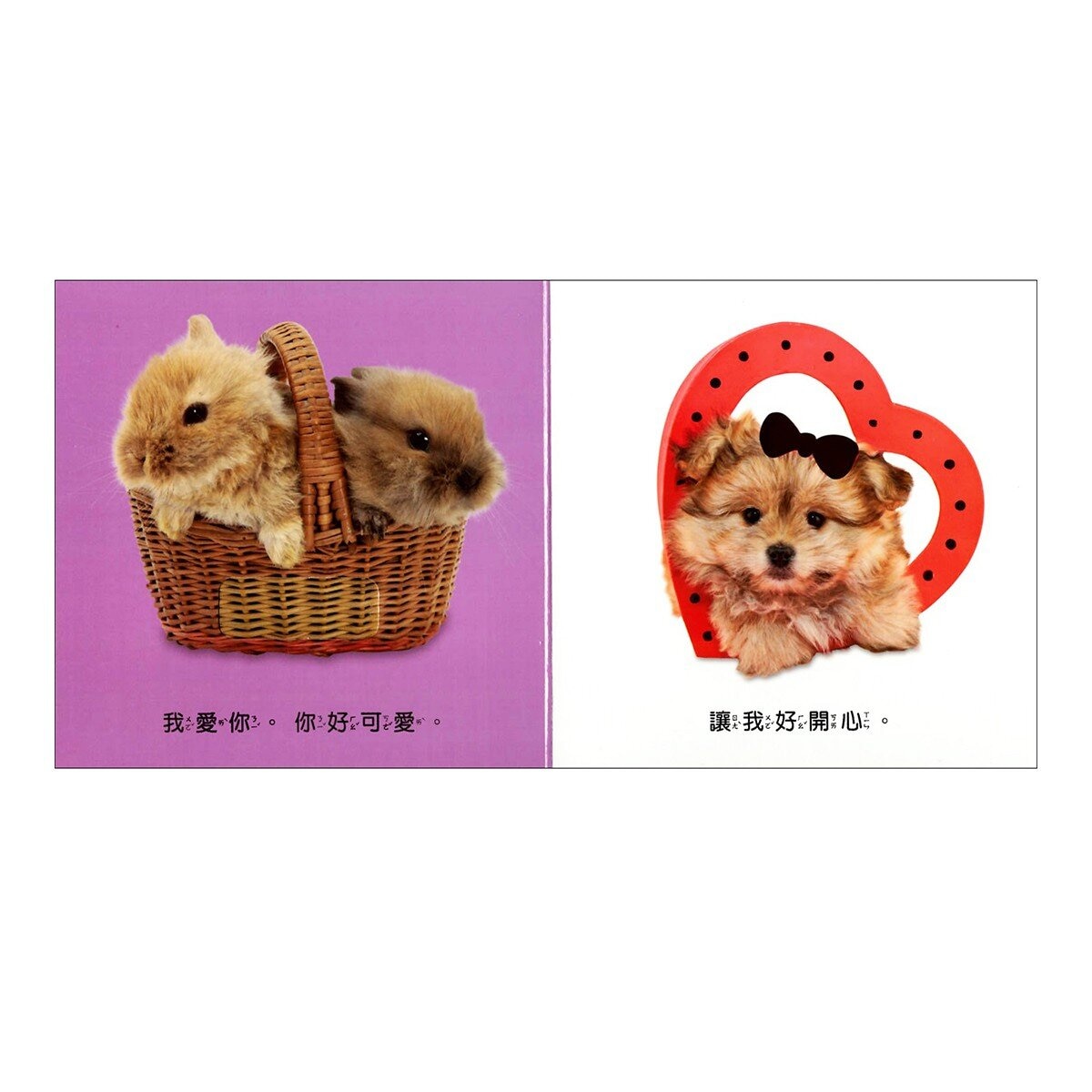 Dorling Kindersley 寶寶觸覺認知書套組（共７冊）