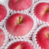 日本慕姿蘋果禮盒 2.4公斤/8-9入