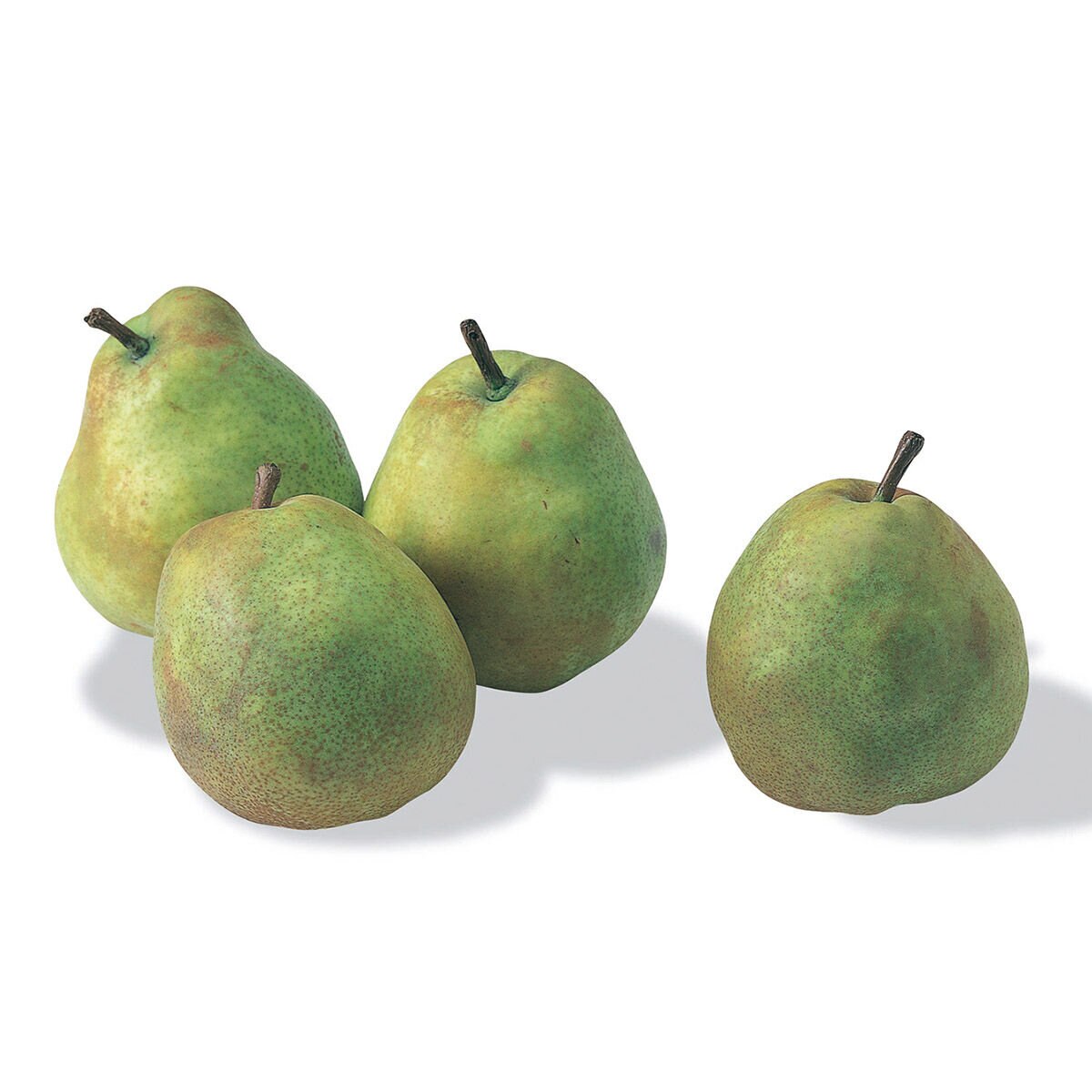 日本山形西洋梨禮盒 2公斤