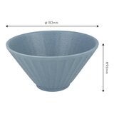 Minoyaki 日本製美濃燒輕量麵碗 4件組