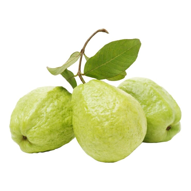 產銷履歷 燕巢珍珠芭樂 3公斤