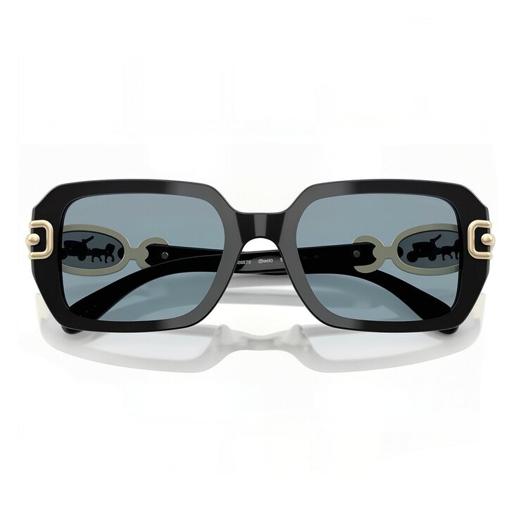 COACH 太眼眼鏡 0HC8425U 500272 黑色