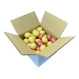 美國彩色馬鈴薯 6公斤