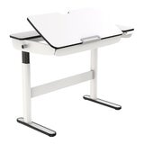 FlexiSpot 電動升降桌 CD704 FlexiSpot 電動升降桌 CD704