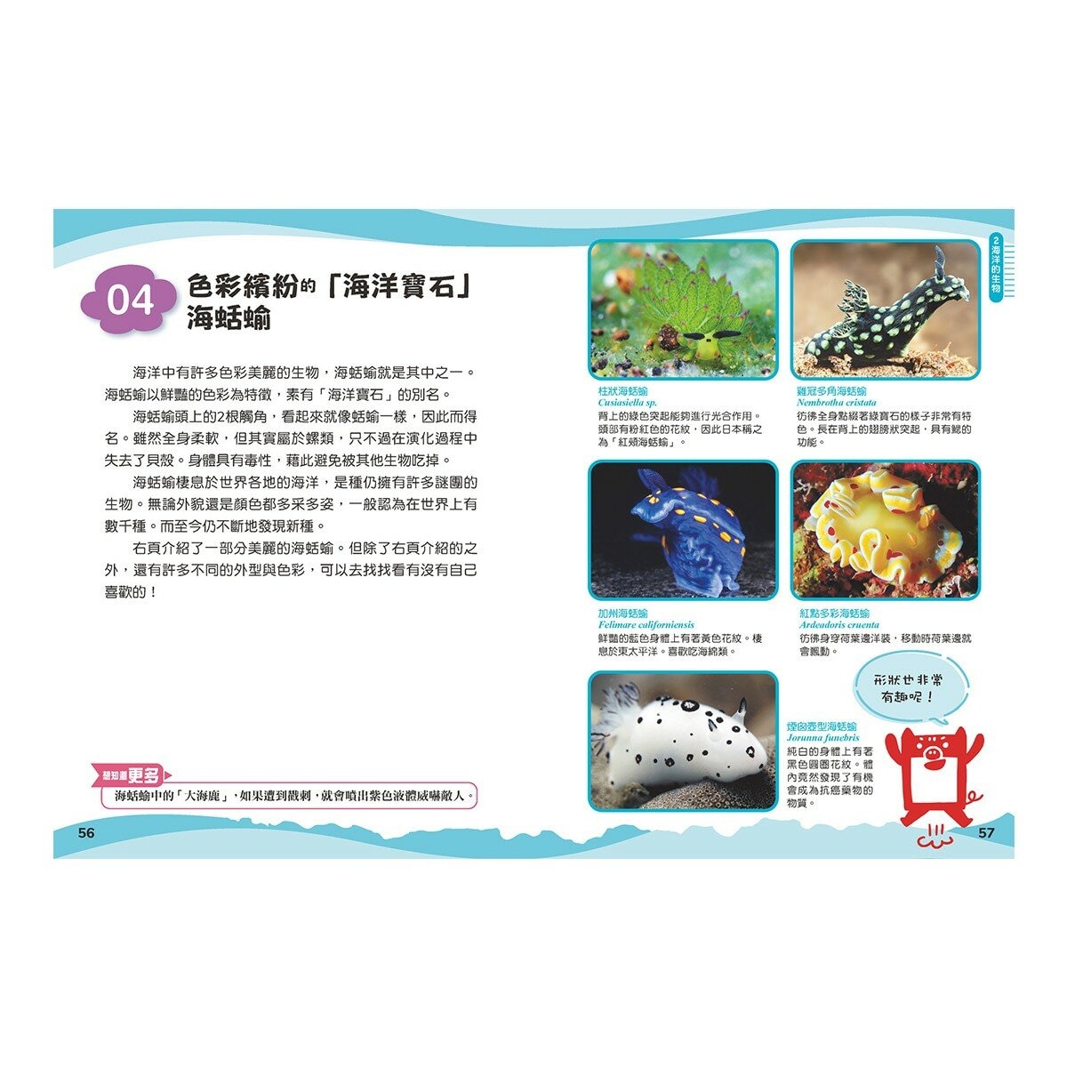 兒童伽利略1-8冊(全套8冊) 動物學校＋恐龍學校＋太陽系學校＋人體學校＋飛機學校＋地球學校＋海洋學校＋天氣學校