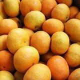 日本蜜柑 1公斤