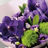 台北花苑 小巧心意 夢幻紫語