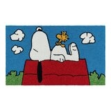 經典卡通舒適地毯 57公分 X 96公分 經典卡通舒適地毯 57公分 X 96公分