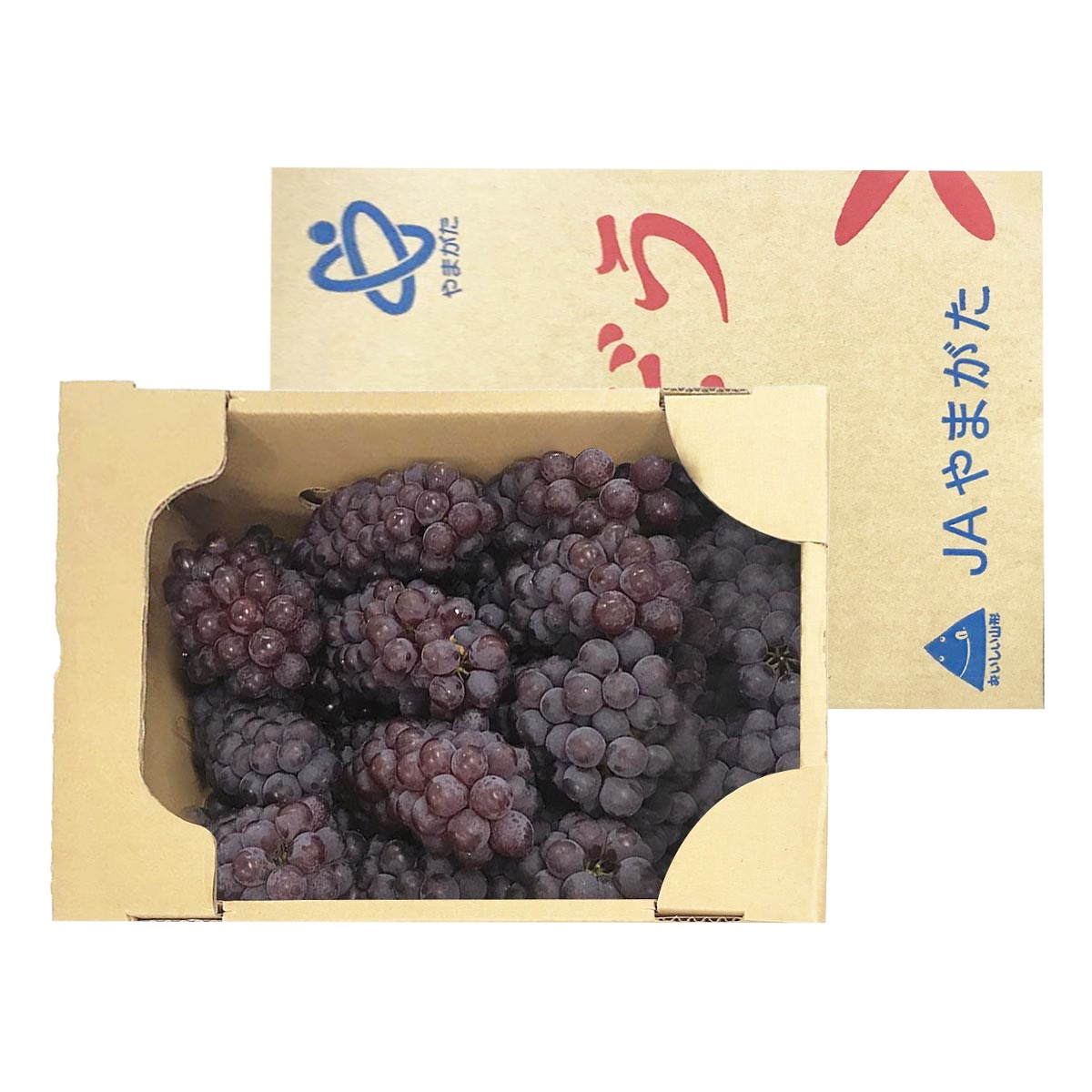 空運日本山形縣小無子葡萄禮盒 2公斤