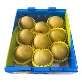產履東勢區新興梨 4公斤