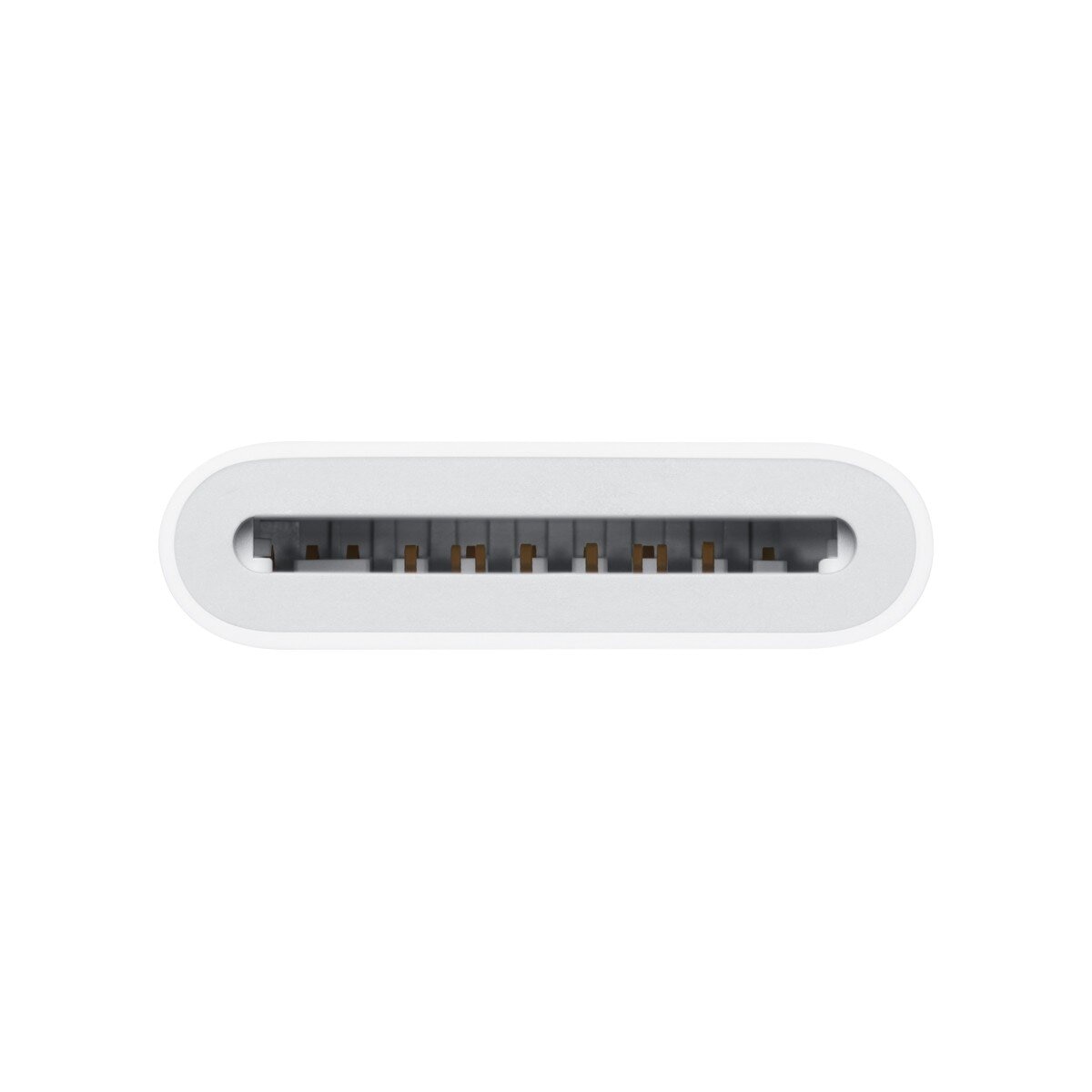 Apple USB-C 對 SD 卡讀卡機