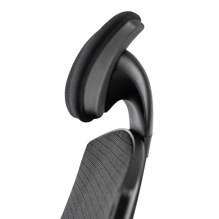 Backbone Whale 抹香鯨座人體工學旗艦椅 海洋友善款