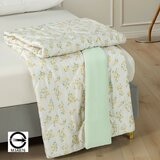 Don Home 萊賽爾沁涼被 150公分 X 200公分 四季