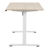 Backbone Dyback Lite 電動升降桌 100公分 X 60公分 木紋