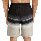 科克蘭 男衝浪短褲 條紋