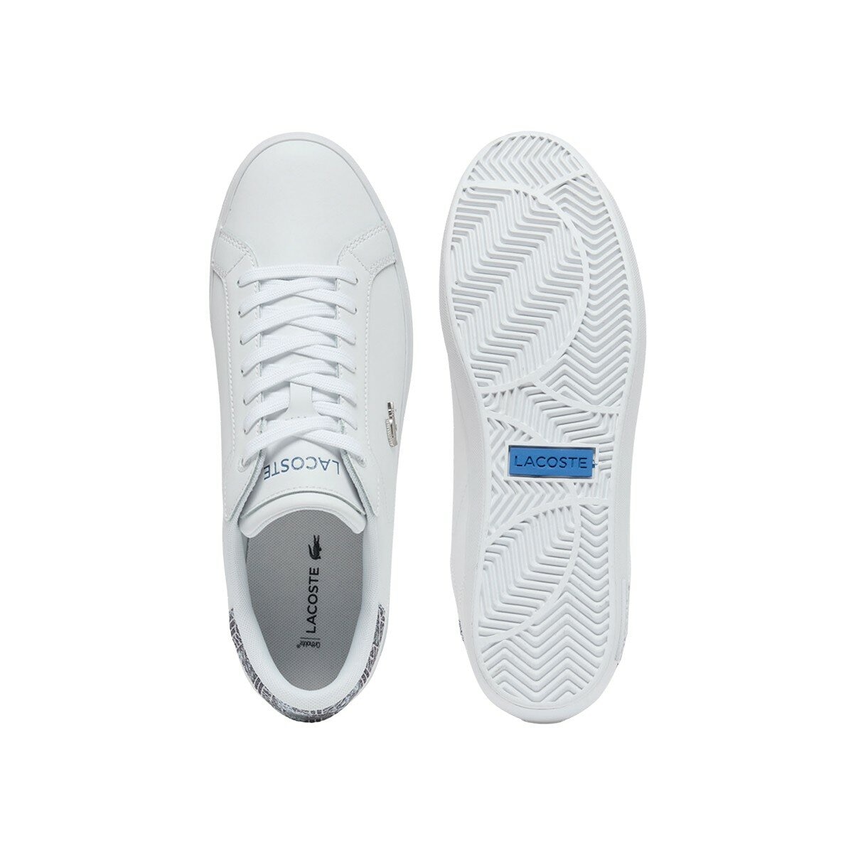 Lacoste 男休閒鞋 白