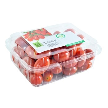 產銷履歷玉女番茄 3.6公斤