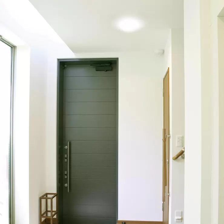 IRIS OHYAMA LED 小型吸頂燈白光 2入