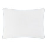 Downlite 涼感舒眠枕 2入 51公分 X 71公分