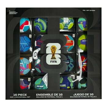 FIFA 世界盃足球組 16顆