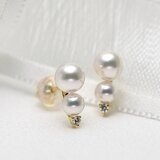 Tokyo Pearl 18K黃K金 4公釐 - 6.0公釐 Akoya 珍珠耳環 - 144592