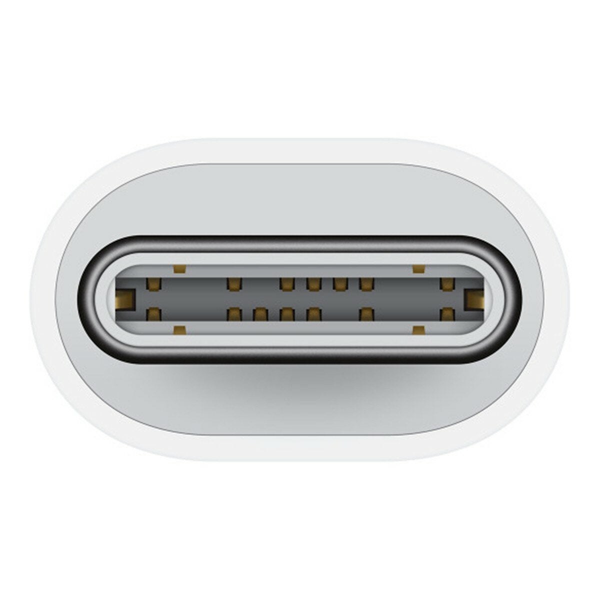Apple USB-C 對 Lightning 轉接器