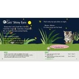 最愛經典童話100篇+趣味自然科學100堂+世界名人故事近100則 (3冊合售) 最愛經典童話100篇+趣味自然科學100堂+世界名人故事近100則 (3冊合售)