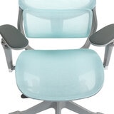 ERGOKING S5 人體工學椅 灰框藍網