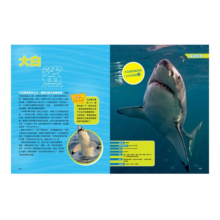 國家地理終極海洋百科：史上最完整的海洋大全 新版