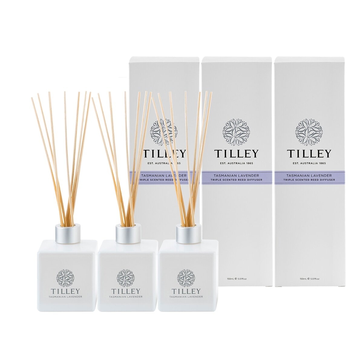 Tilley 澳洲經典香氛擴香組 150毫升 X 3入 塔斯馬尼亞薰衣草