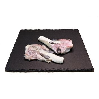 ASC 台灣鯛魚下巴