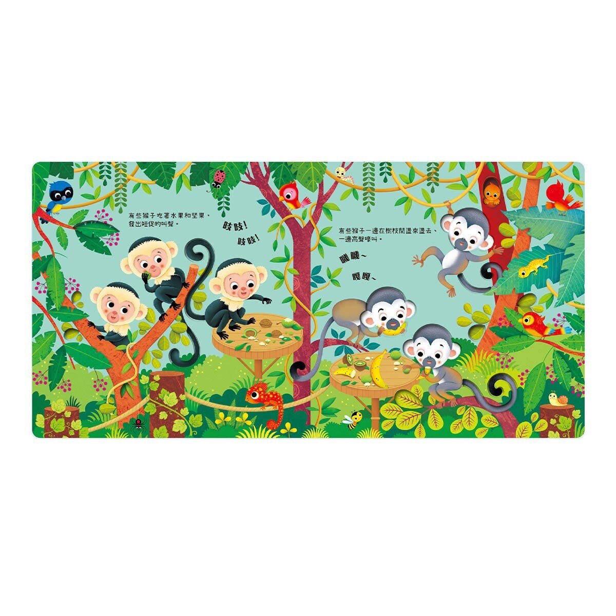 叮叮咚咚音樂會：動物園樂團 + 海岸樂團 (2書合售)