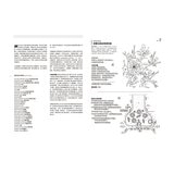 人體解剖著色學習手冊 + 12色彩色鉛筆 ：邊看邊畫邊學，為知識上色，更有趣、更輕鬆、更好記