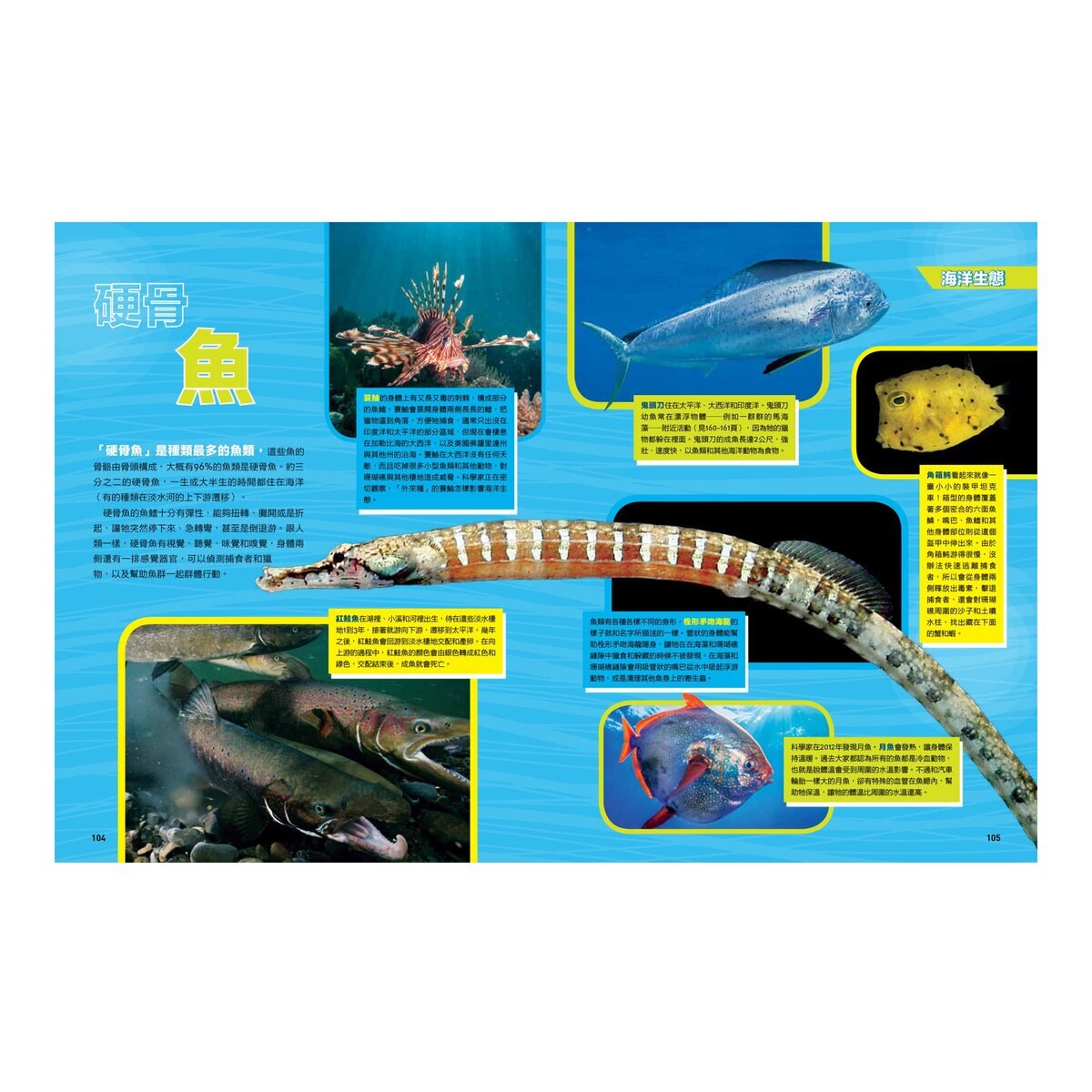 國家地理終極海洋百科：史上最完整的海洋大全 新版