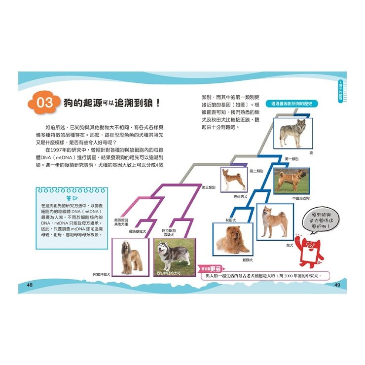 兒童伽利略：動物學校＋恐龍學校＋太陽系學校＋人體學校 (４冊)