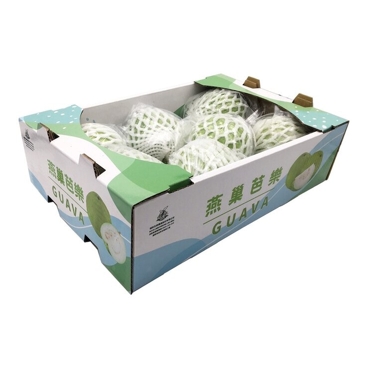 產銷履歷 燕巢珍珠芭樂 3公斤