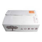 日本栃木縣日光梨 5公斤