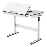 FlexiSpot 電動升降桌 CD704 FlexiSpot 電動升降桌 CD704