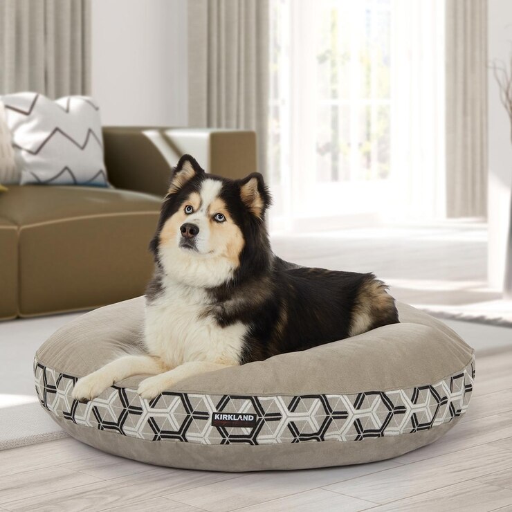 kirkland signature 42 round dog bed