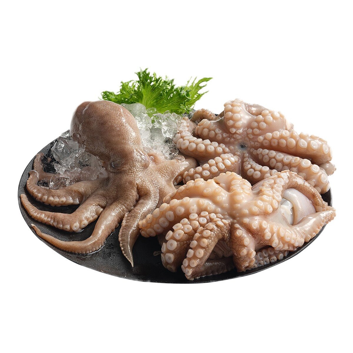 冷凍鮮凍野生章魚