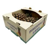 產履金鑽鳳梨 3.6公斤 / 2入