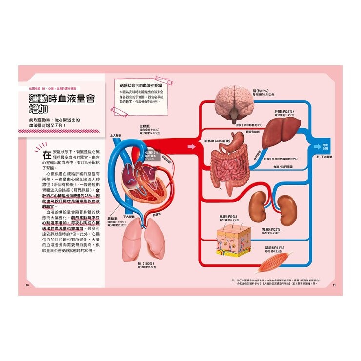 手機腦與運動腦 + 人體 (2冊)