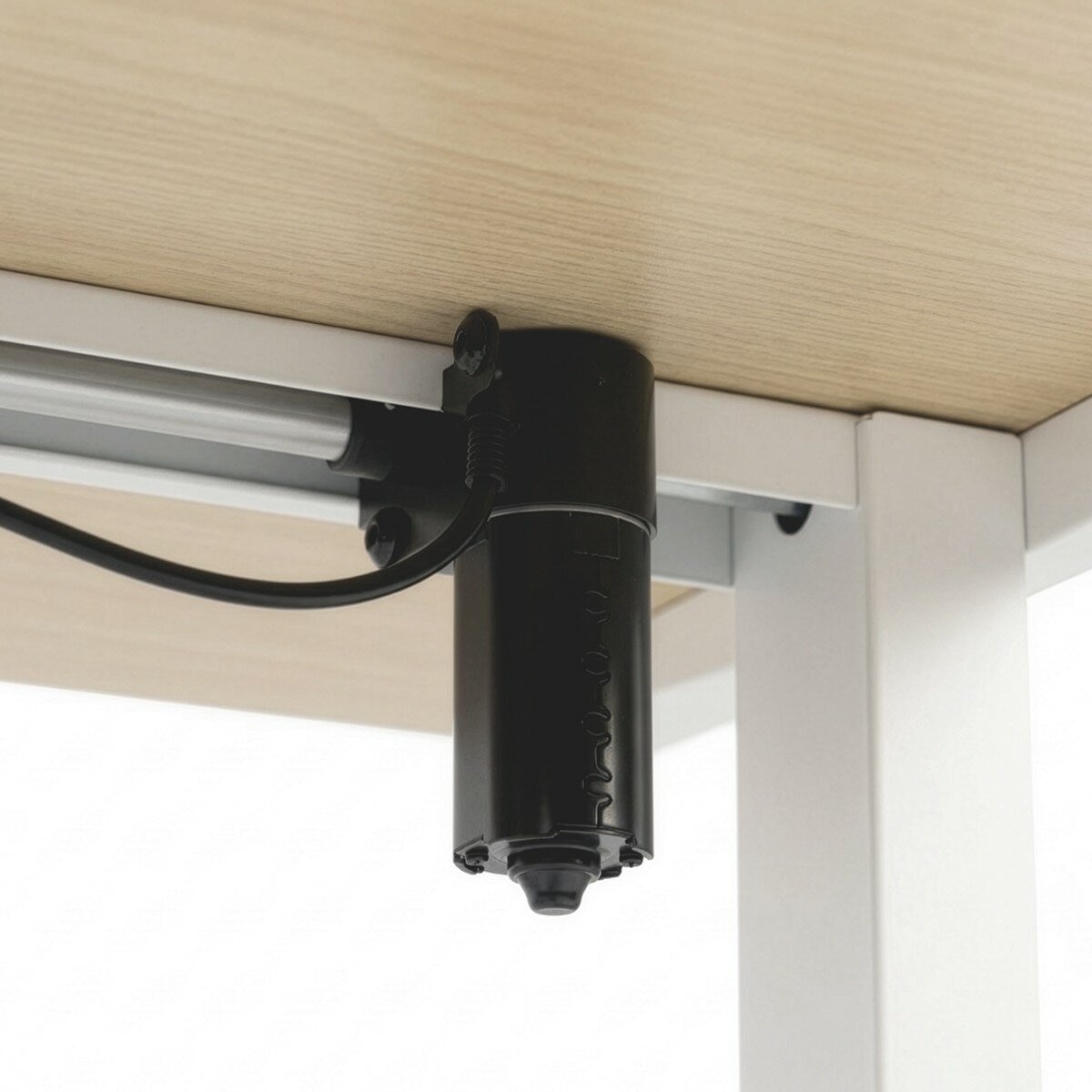 Backbone Dyback Lite 電動升降桌 140公分 X 70公分 木紋